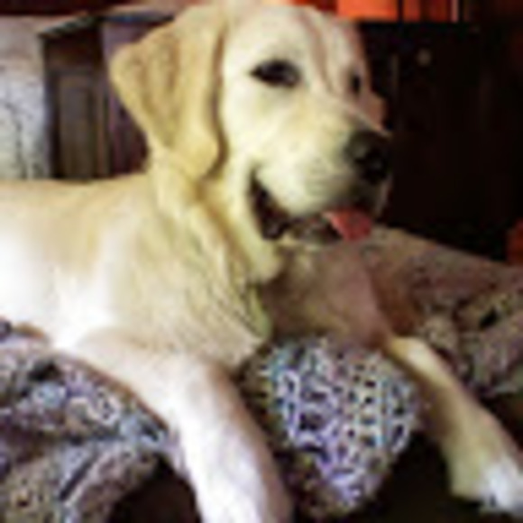 Meet your Posher, Melanie - Picture 1 of 1